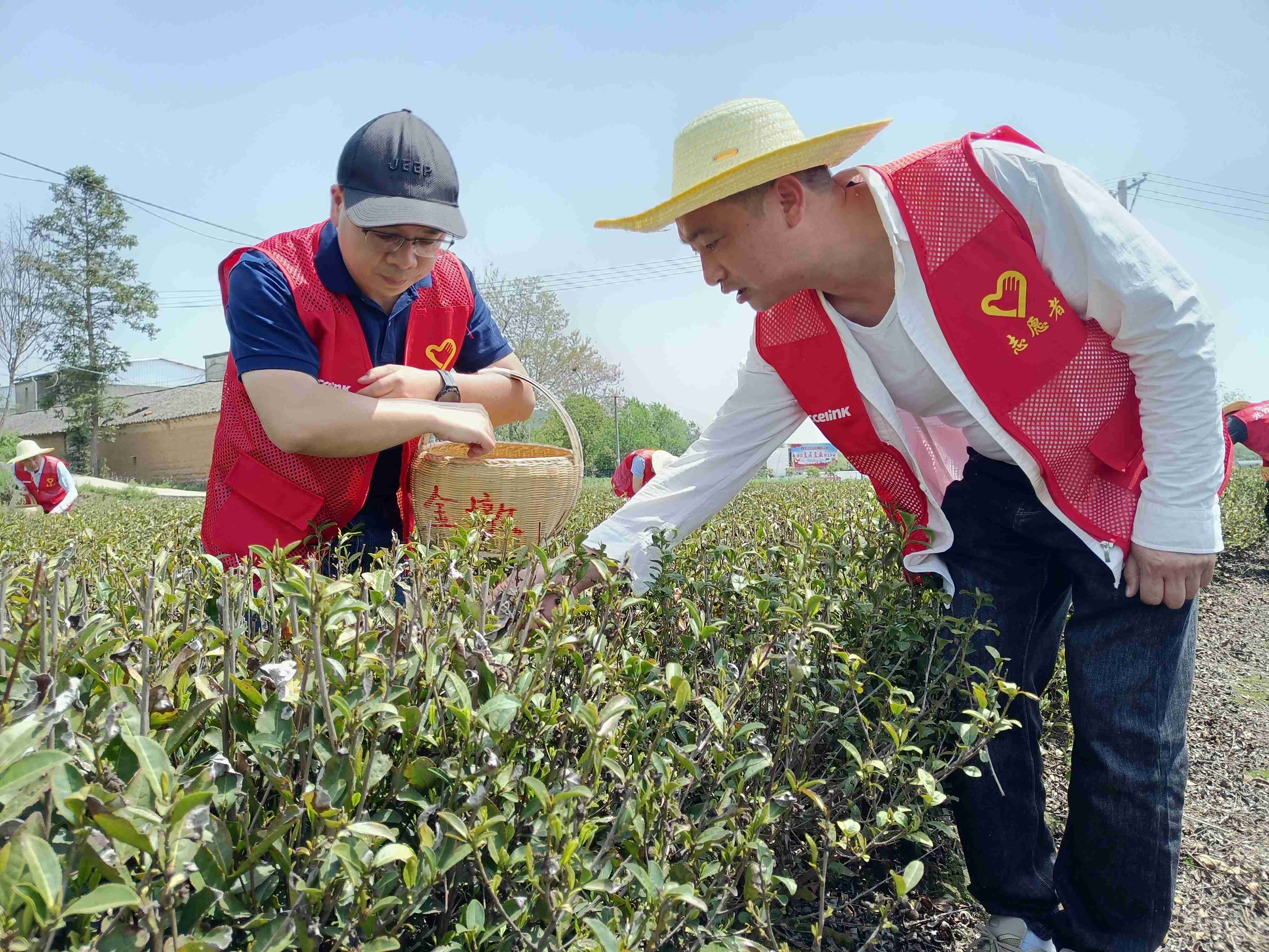 凤凰同盟·(中国集团)官方网站
